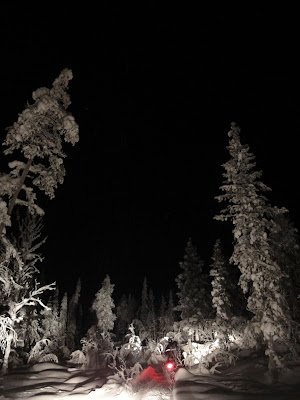空は真っ暗なのに、木はふかふかの雪に包まれて、真っ白。