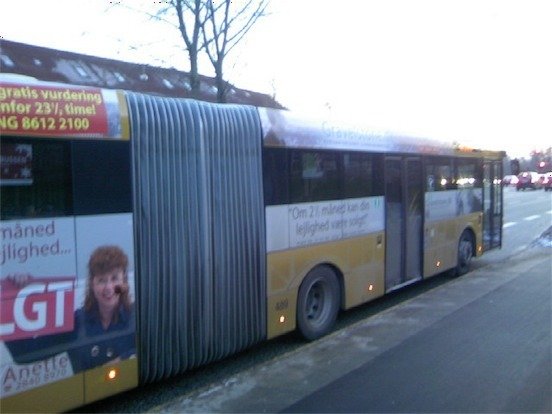 デンマークの長いバス デンマークの長いバス