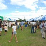 北欧の音楽ピクニック