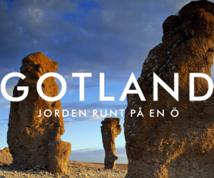 ヒュゲリライターズコラム