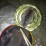 シュールストレミング3