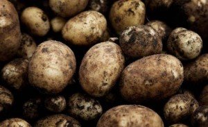 北欧現地ニュース