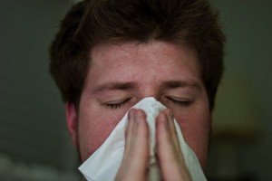 北欧現地ニュース