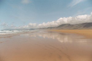 ヒュゲリライターズコラム