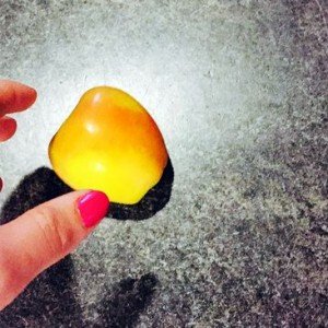 ヒュゲリライターズコラム