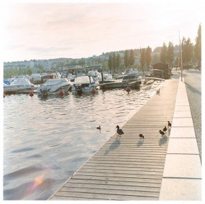 ヒュゲリなインタビュー