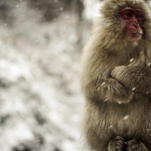 ヒュゲリライターズコラム